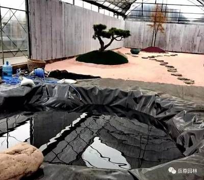 亭栽棲鳳竹池養化龍魚的意思：亭栽棲鳳竹池養化龍魚是什么意思
