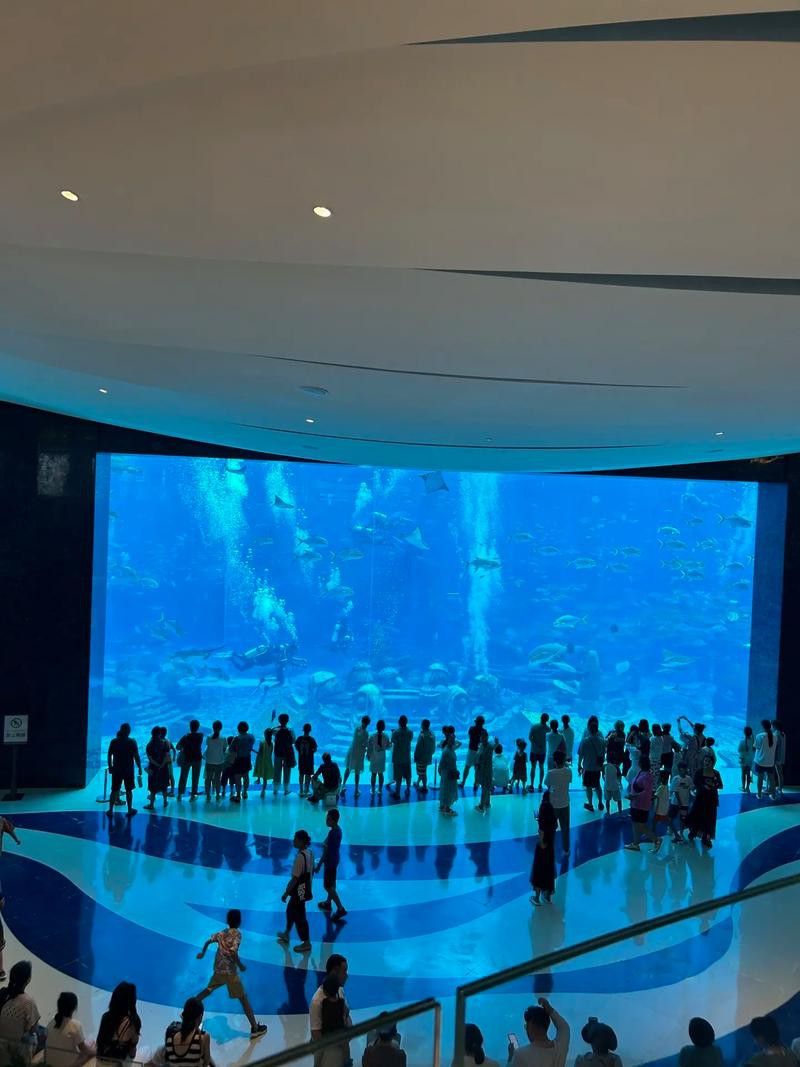 2023水族展會祥龍魚場展位圖片