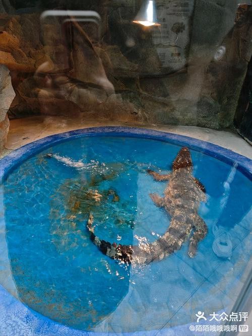2023水族展會祥龍魚場展位圖片