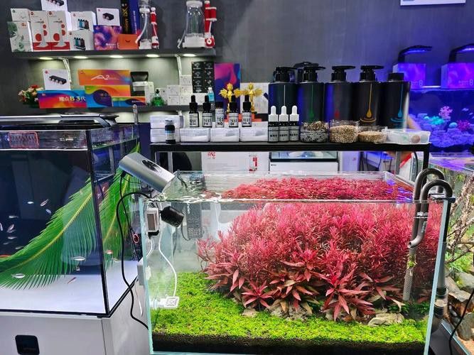 2023水族展會祥龍魚場展位圖片