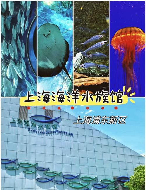 2023水族展會祥龍魚場展位圖片