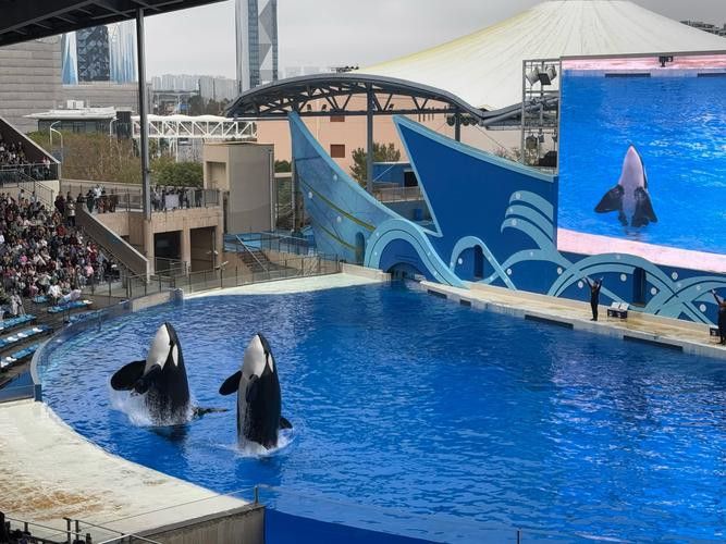 2023水族展會祥龍魚場展位圖片