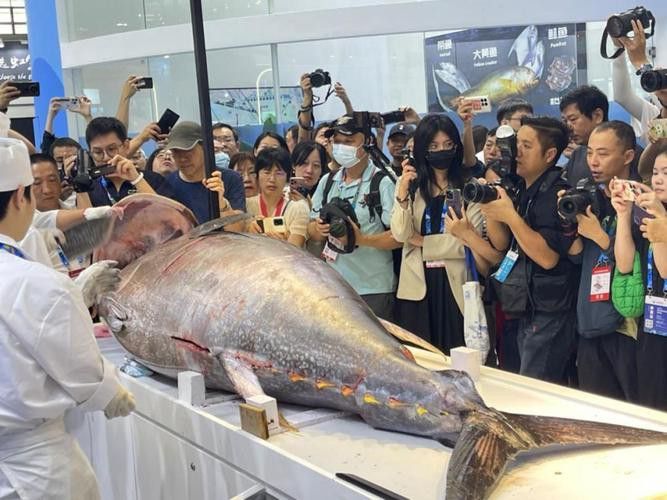 2023水族展會祥龍魚場展位圖片