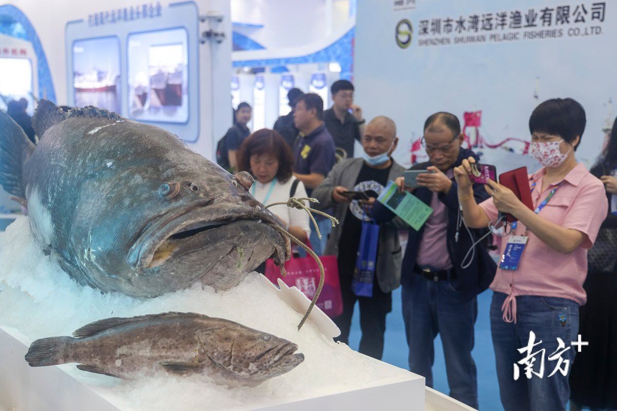 2023水族展會祥龍魚場展位圖片