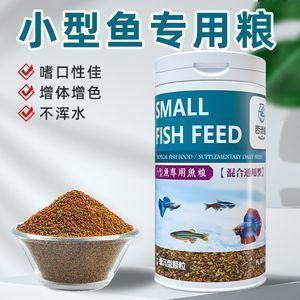 金龍魚捕食錦鯉：如何防止金龍魚捕食錦鯉 金龍魚捕食錦鯉：如何防止金龍魚捕食錦鯉 龍魚百科 第3張