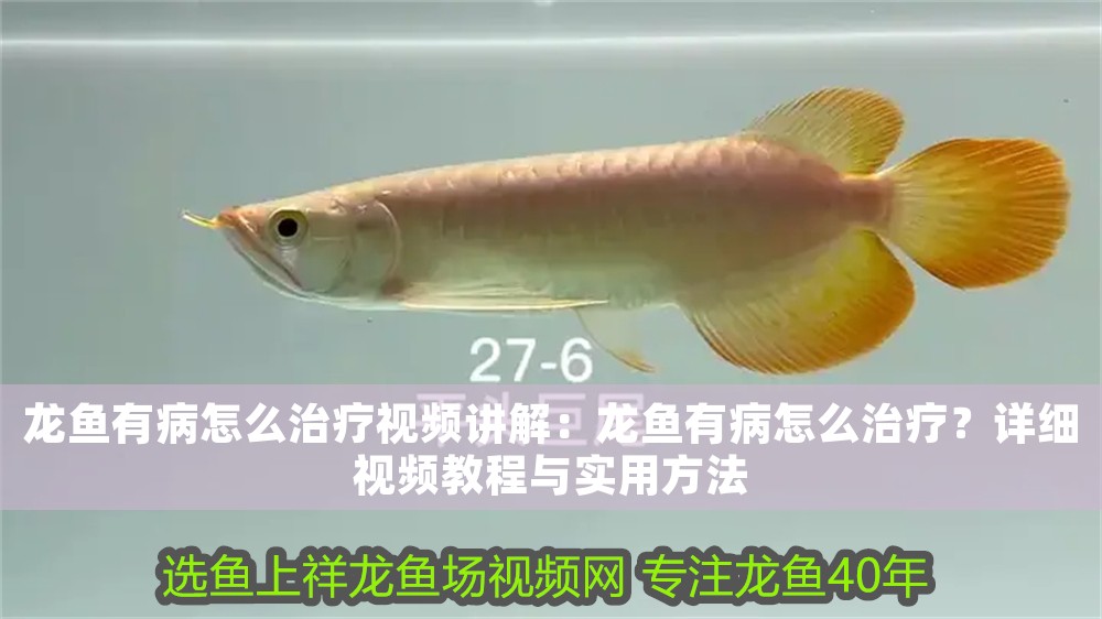 龍魚有病怎么治療視頻講解：龍魚有病怎么治療？詳細視頻教程與實用方法