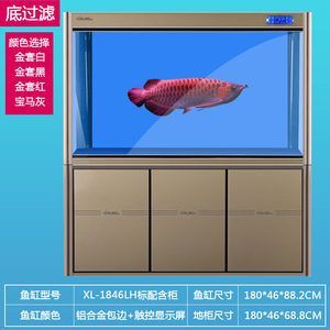 龍魚(yú)缸底部什么顏色好：關(guān)于龍魚(yú)缸底部顏色選擇的一些詳細(xì)信息