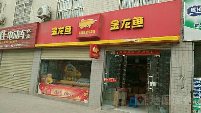 金龍魚連云港分公司