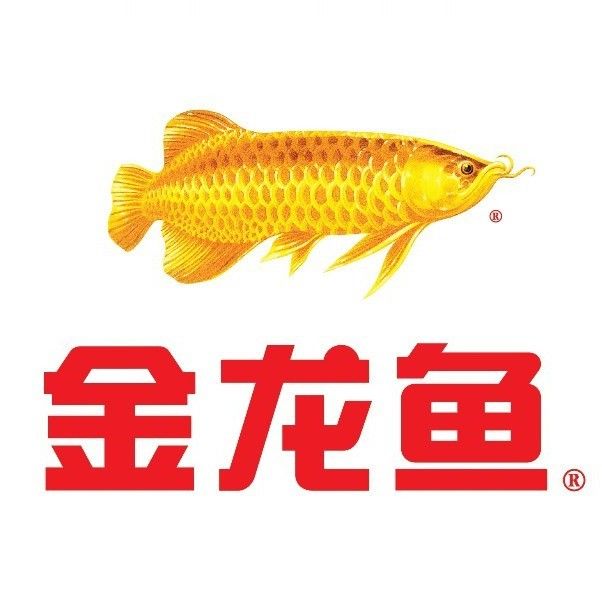 金龍魚連云港分公司