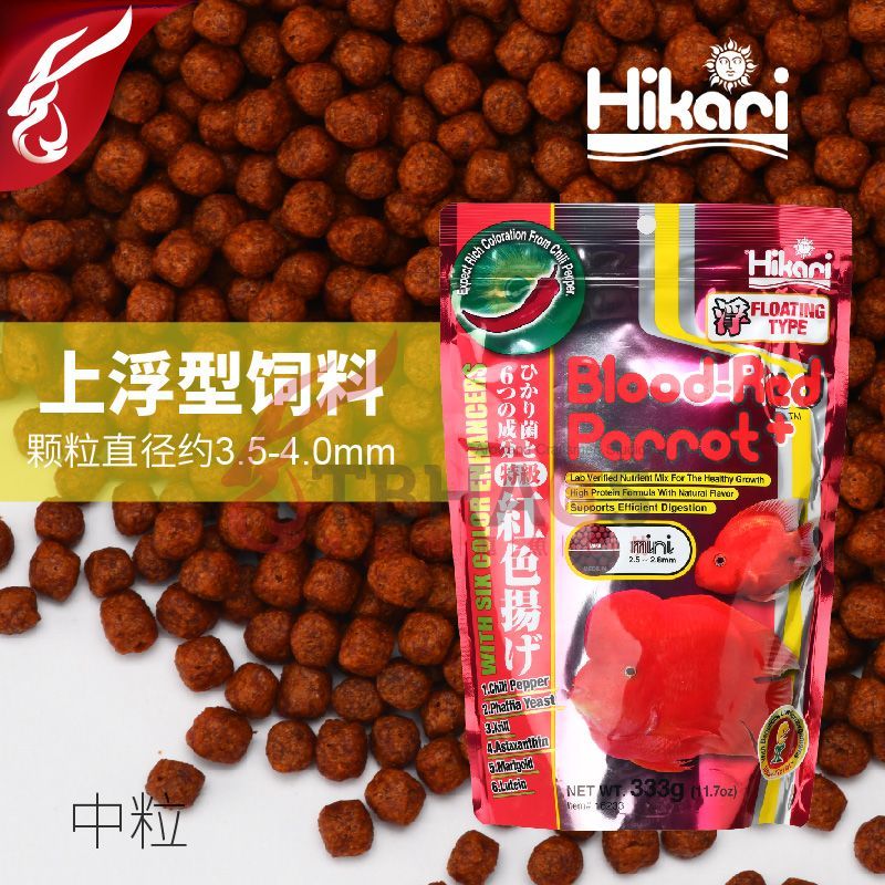 龍魚顆粒飼料制作配方大全,自制龍魚飼料的保存方法 龍魚百科 第5張 龍魚顆粒飼料制作配方大全,自制龍魚飼料的保存方法 龍魚顆粒飼料制作配方大全,自制龍魚飼料的保存方法 龍魚百科 第5張