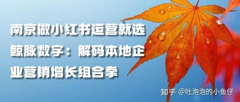 <strong><mark>南京</mark></strong>龍魚文化傳媒有限公司怎么樣知乎推廣