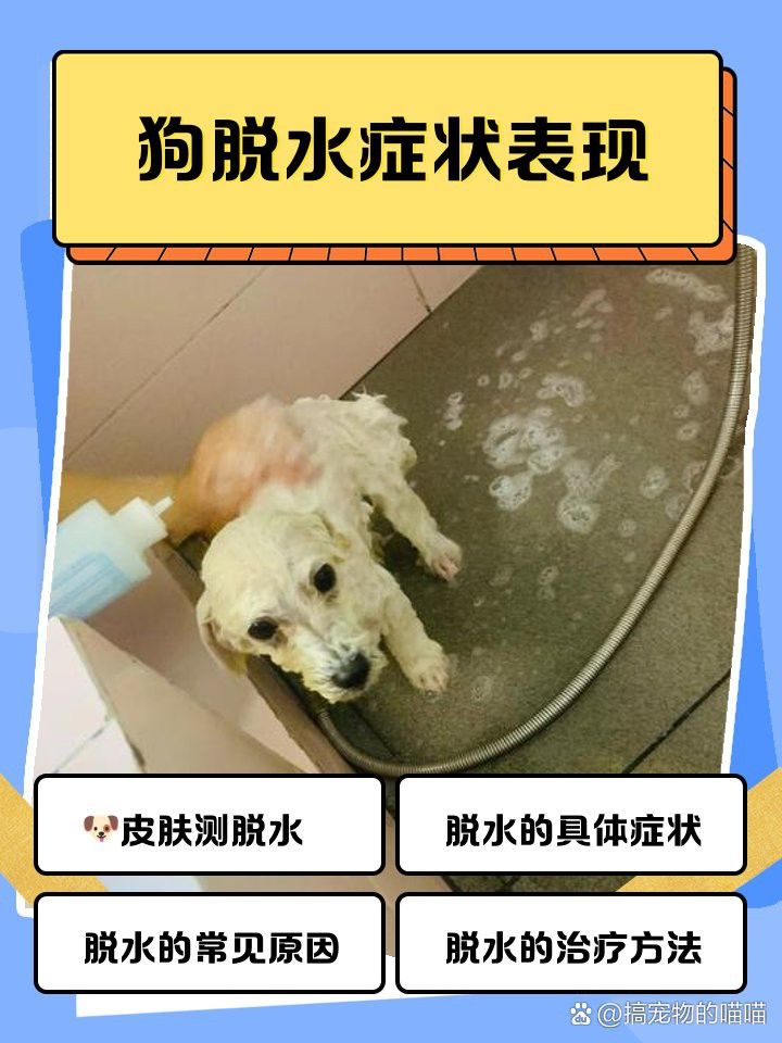 如何判斷小火龍是否脫水？