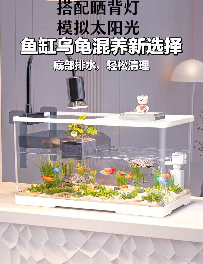 藍底魚缸養金龍魚好嗎圖片