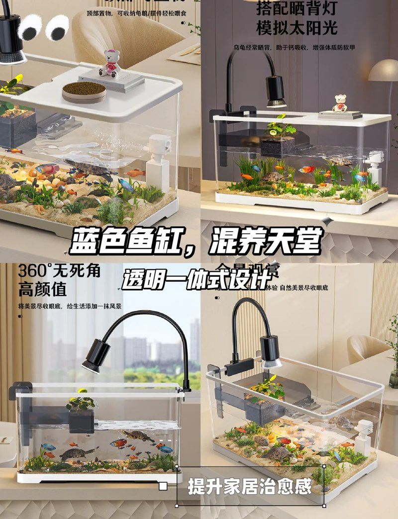 藍底魚缸養金龍魚好嗎圖片