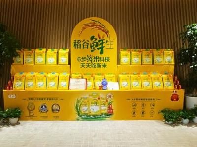 怎么樣選品質(zhì)好的金龍魚（選擇品質(zhì)好的金龍魚是許多金魚愛好者的共同目標(biāo)）