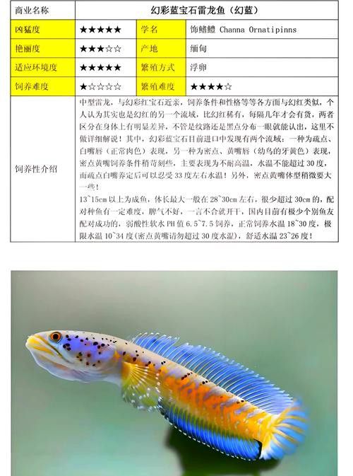 什么叫雷龍魚的圖片和名字