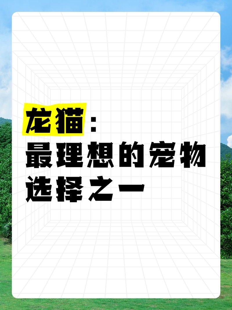 龍貓和貓哪個更干凈？