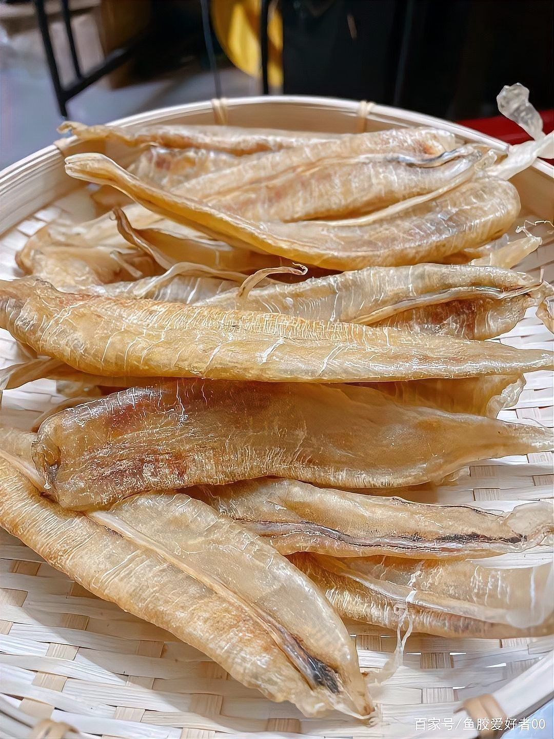 野生金龍魚膠是海里面的嗎？ 野生金龍魚膠是海里面的嗎？ 龍魚百科 第2張