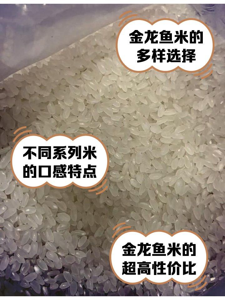 乳玉皇妃系列和長粒香系列有何區別？