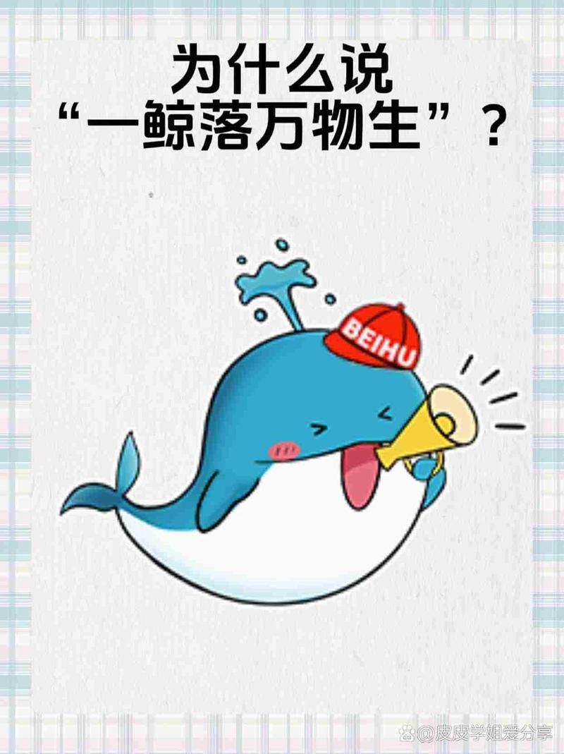 鯨魚網絡暗語