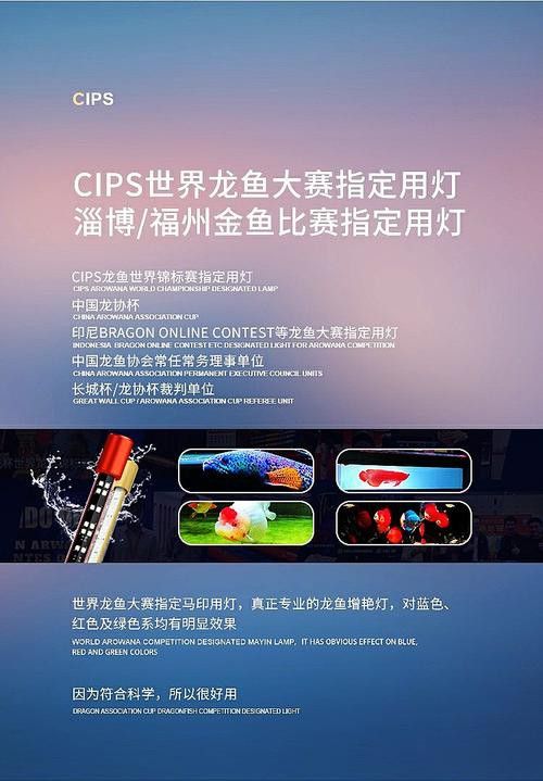 哪種品牌的龍魚(yú)燈質(zhì)量最好？