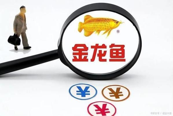 金龍魚萬億市值