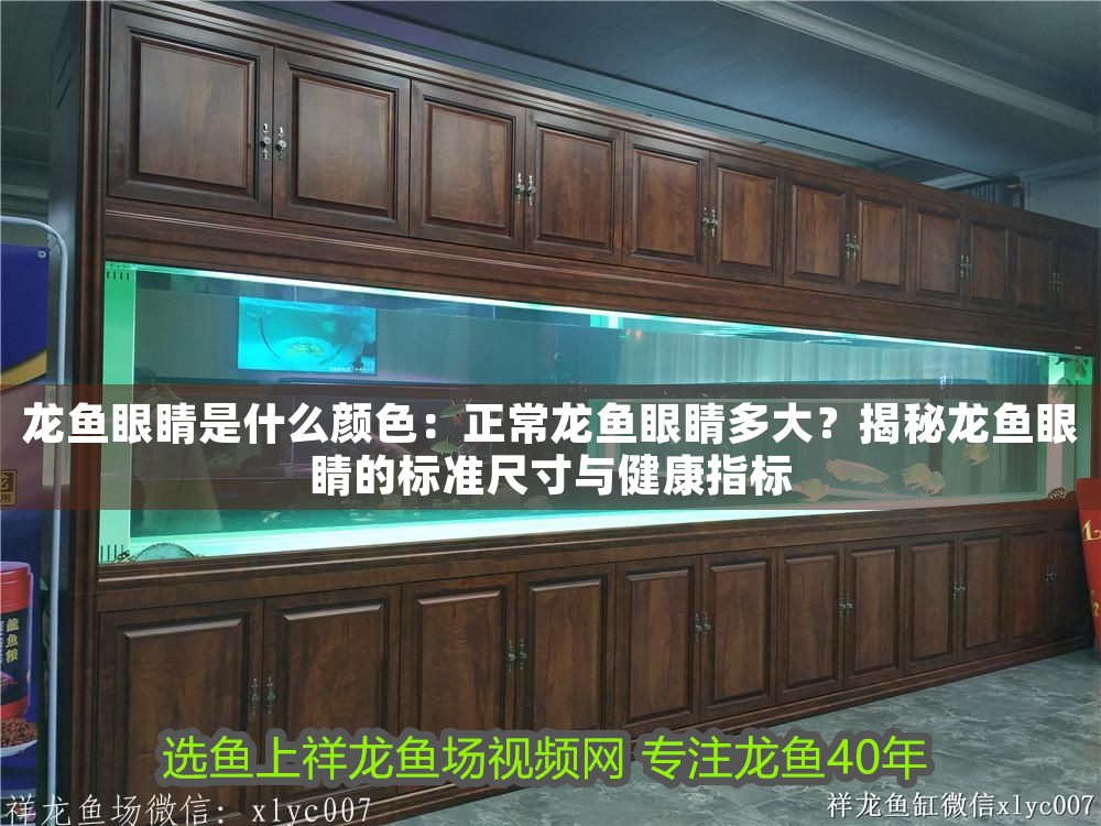 龍魚眼睛是什么顏色：正常龍魚眼睛多大？揭秘龍魚眼睛的標準尺寸與健康指標
