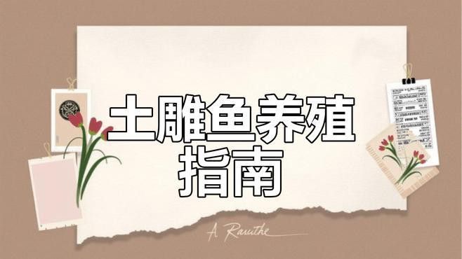紅寶石魚能和龍魚混養嗎圖片欣賞