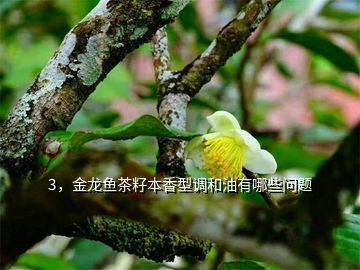金龍魚顏色變淡了怎么回事：金龍魚顏色變淡可能是由多種因素造成的