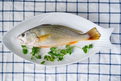 金龍魚一般吃什么東西,金龍魚如何挑選活餌,金龍魚食物安全注意事項 龍魚百科 第3張 金龍魚一般吃什么東西,金龍魚如何挑選活餌,金龍魚食物安全注意事項 金龍魚一般吃什么東西,金龍魚如何挑選活餌,金龍魚食物安全注意事項 龍魚百科 第3張