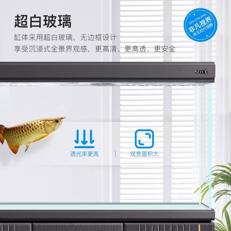 龍魚缸溫度多少合適：龍魚水溫多少度合適