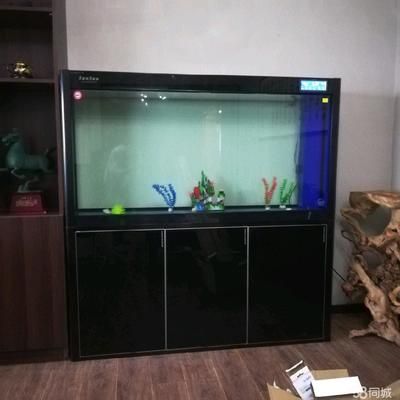 專業搬魚缸