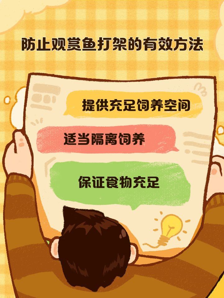 如何避免龍魚和貓魚之間的爭斗？