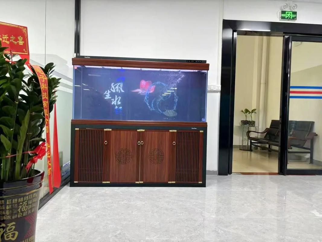 成都龍魚閣魚缸怎么樣啊圖片