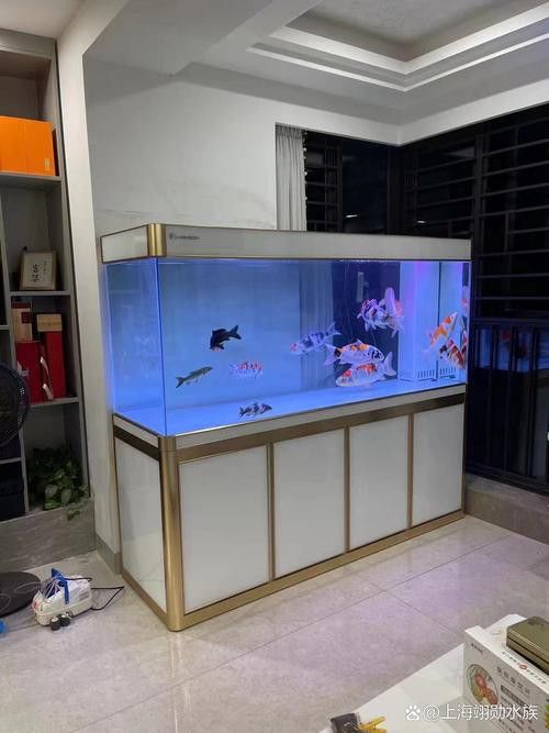 成都龍魚閣魚缸怎么樣啊圖片