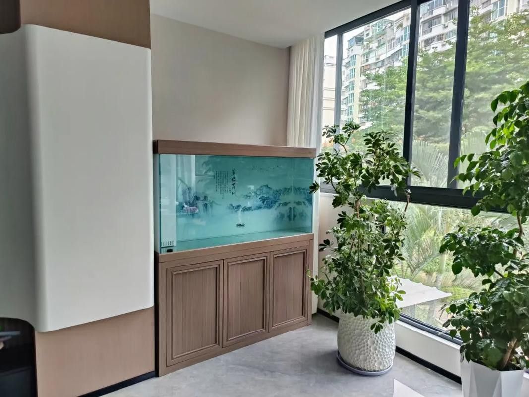 成都龍魚閣魚缸怎么樣啊圖片