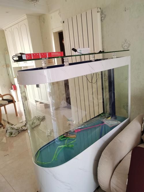 成都龍魚閣魚缸怎么樣啊圖片
