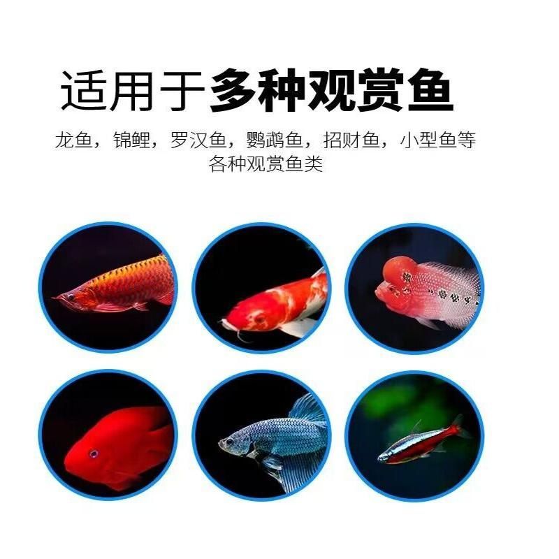 甲基藍(lán)龍魚可以用嗎有毒嗎：甲基藍(lán)可以治療龍魚嗎 甲基藍(lán)龍魚可以用嗎有毒嗎：甲基藍(lán)可以治療龍魚嗎 龍魚百科 第3張