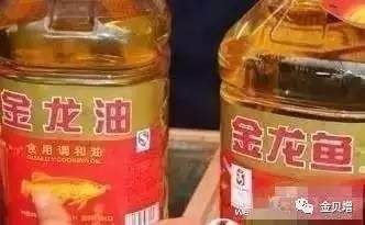 純凈水可以養金龍魚嗎：純凈水不適合養金龍魚嗎純凈水可以養金龍魚嗎