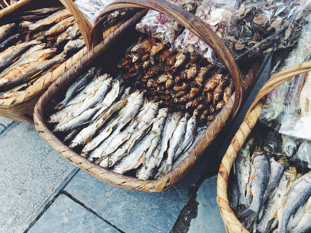 刺比較少的魚(yú)有哪些名字和圖片（魚(yú)刺少的有哪幾種魚(yú)圖片）