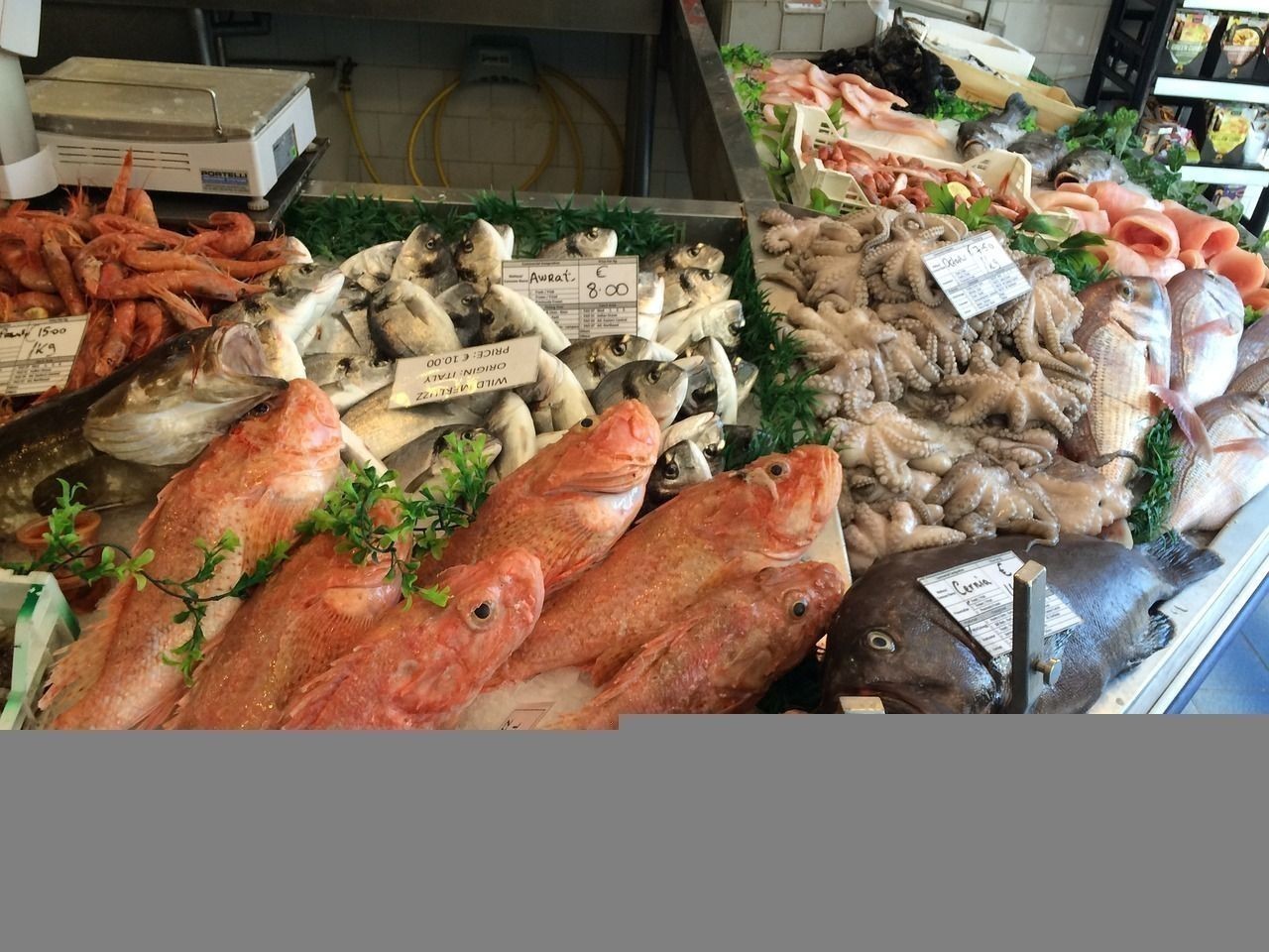 刺比較少的魚(yú)有哪些名字和圖片（魚(yú)刺少的有哪幾種魚(yú)圖片）