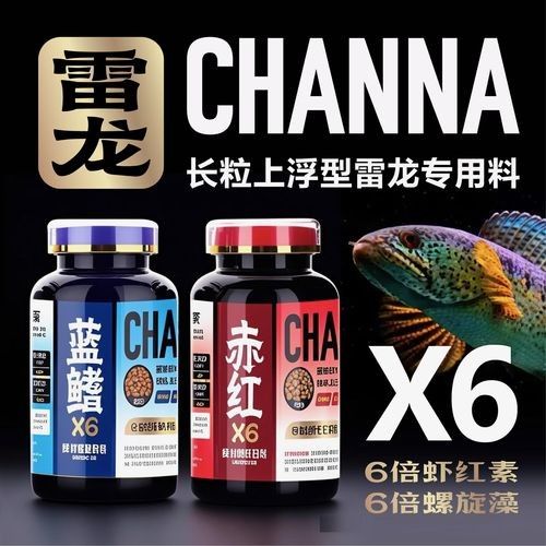 雷龍魚增色飼料有哪些品牌 雷龍魚增色飼料有哪些品牌 龍魚百科 第2張