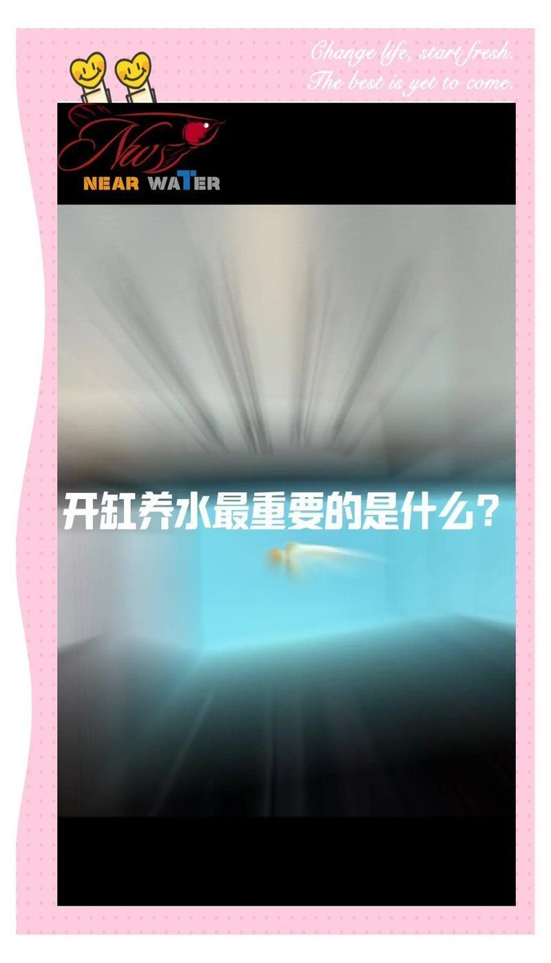 馬印橄欖球散裝是真的嗎
