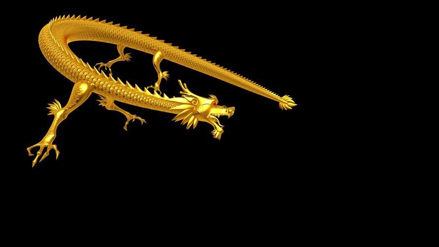 有沒有動(dòng)態(tài)的金龍圖片？ 有沒有動(dòng)態(tài)的金龍圖片？ 龍魚百科 第6張