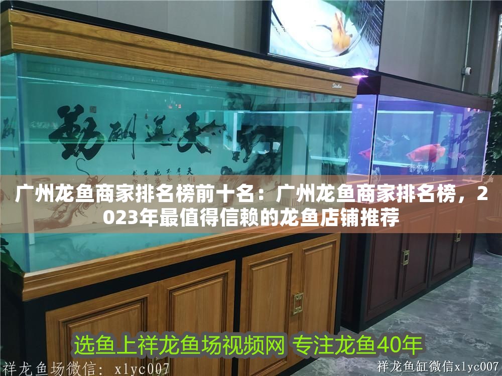 廣州龍魚(yú)商家排名榜前十名：廣州龍魚(yú)商家排名榜，2023年最值得信賴的龍魚(yú)店鋪推薦