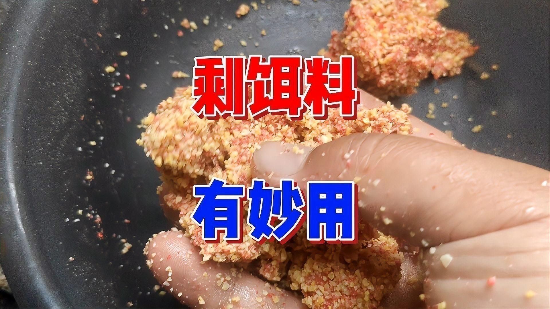 如何判斷食物是否新鮮，避免喂變質(zhì)餌料？
