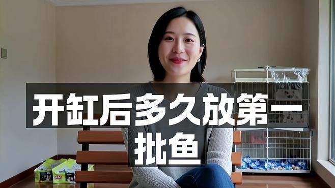 龍魚缸開缸后多久可以放魚？