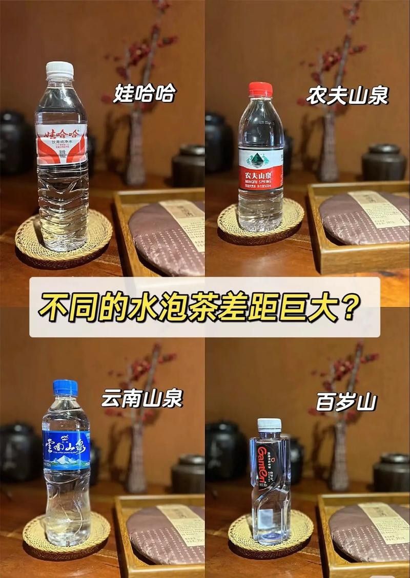 龍魚缸可以放熟<strong><mark>普洱</mark></strong>茶嗎視頻講解圖片