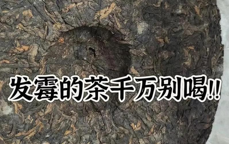 龍魚缸可以放熟普洱茶嗎視頻講解圖片
