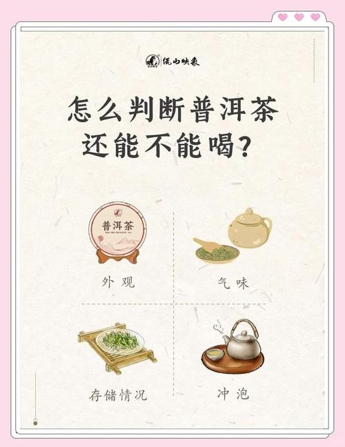 龍魚缸可以放熟普洱茶嗎視頻講解圖片